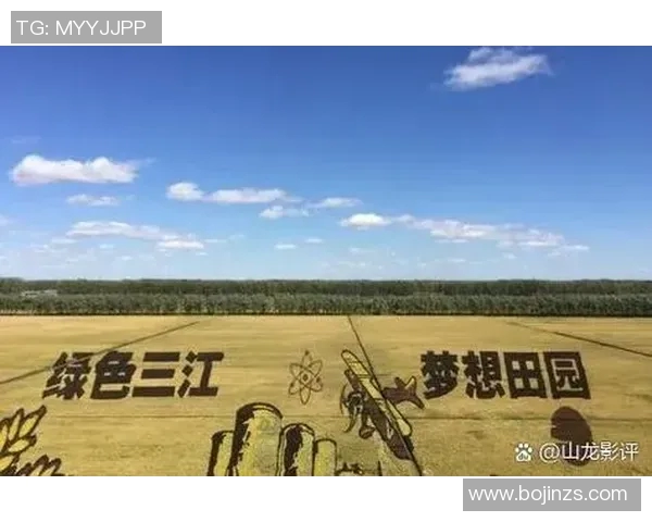 杨丽专访：从青涩小将到乒乓球传奇的辉煌历程回顾